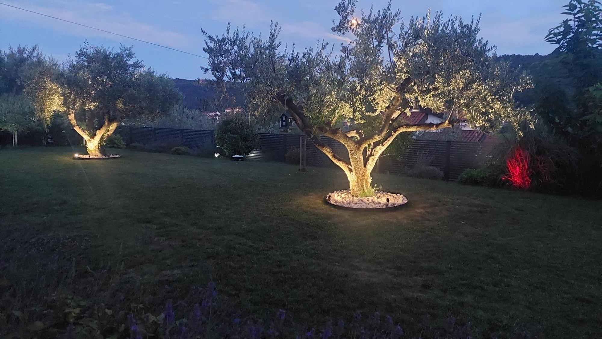 Istrian Lux Residence Koper Zewnętrze zdjęcie