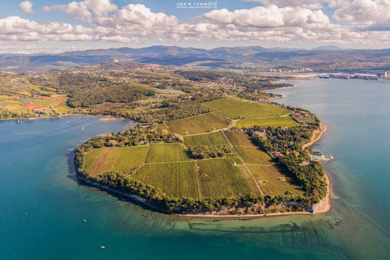 Istrian Lux Residence Koper Zewnętrze zdjęcie