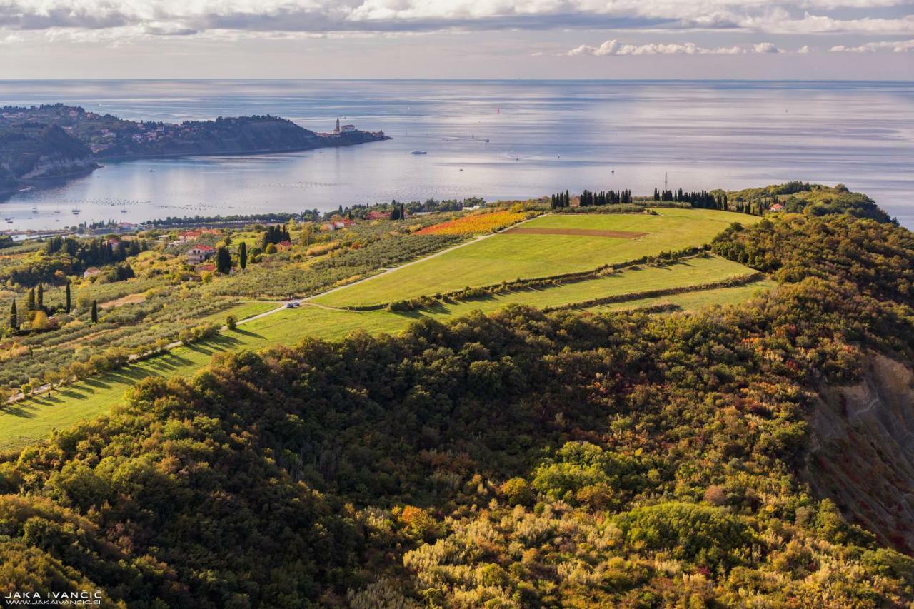 Istrian Lux Residence Koper Zewnętrze zdjęcie